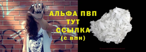 ГАЛЛЮЦИНОГЕННЫЕ ГРИБЫ Дмитриев
