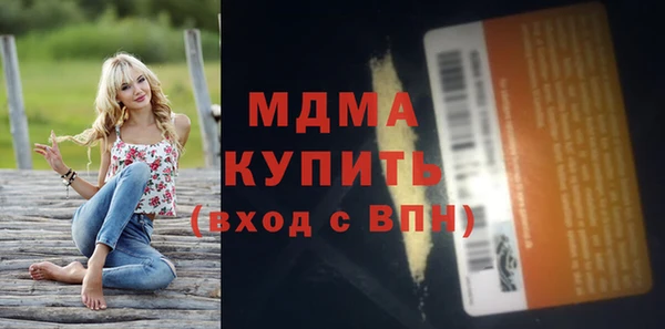 ГАЛЛЮЦИНОГЕННЫЕ ГРИБЫ Дмитриев