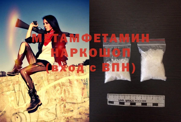 ГАЛЛЮЦИНОГЕННЫЕ ГРИБЫ Дмитриев