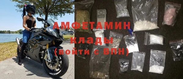 ГАЛЛЮЦИНОГЕННЫЕ ГРИБЫ Дмитриев