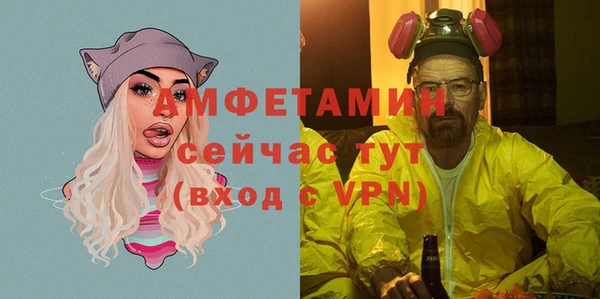 ГАЛЛЮЦИНОГЕННЫЕ ГРИБЫ Дмитриев